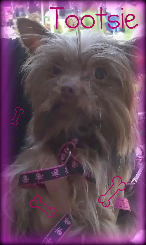 Tootsie