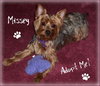 Missey