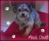 Miss Dixie