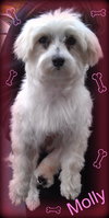 Molly