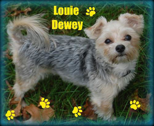 Louie Dewey