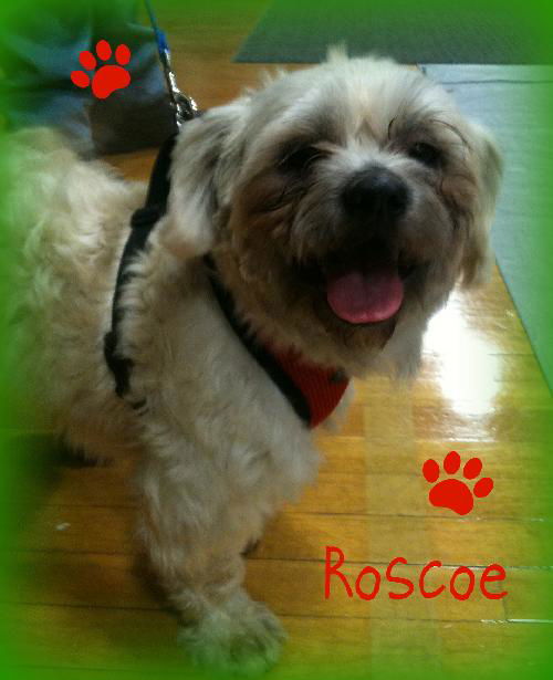 Roscoe