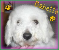 Babette