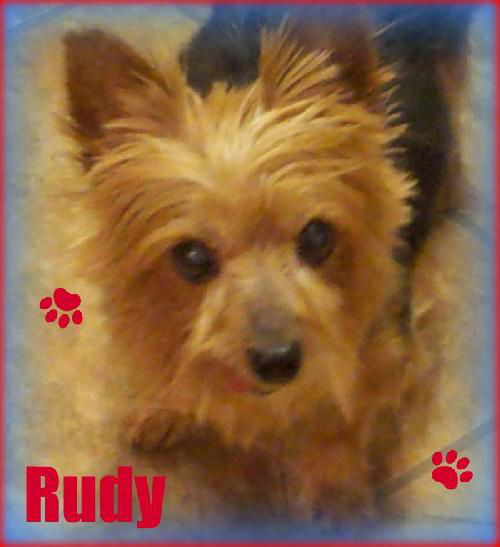 Rudy