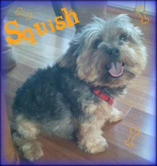 Squish
