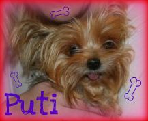 Puti