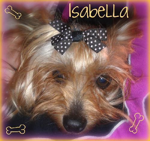 Isabella