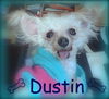 Dustin