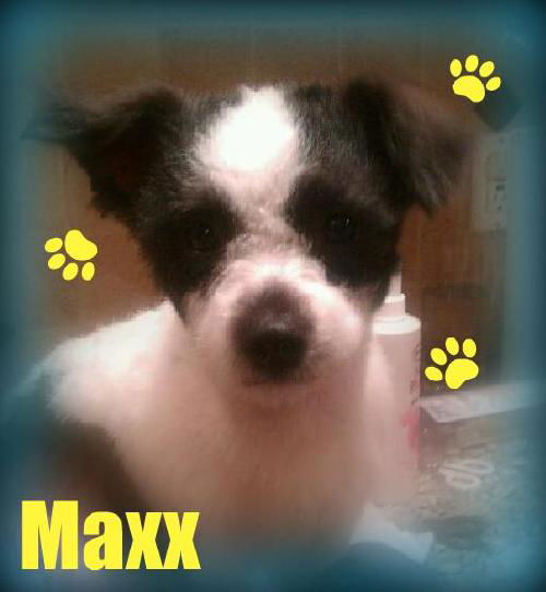 Maxx