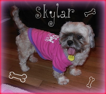 Skylar