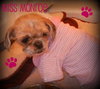 Miss Monroe