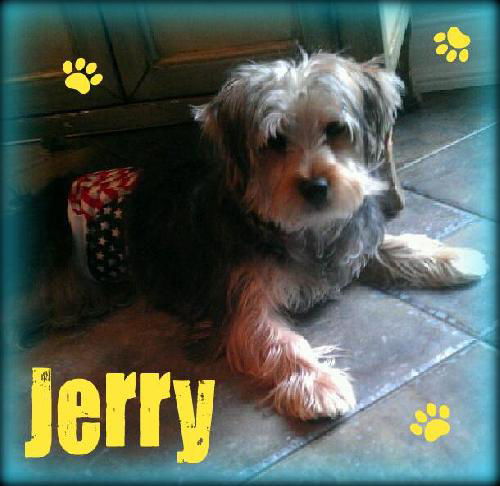 Jerry