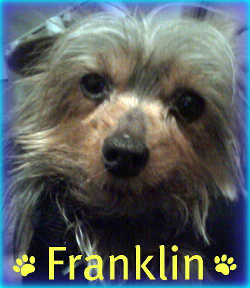 Franklin