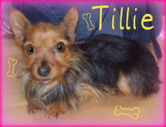 Tillie