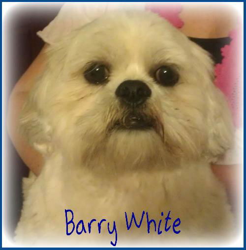 Baron von White (aka Barry White)