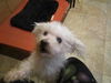 Swiffer