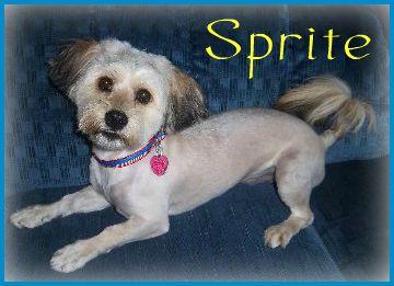 Sprite