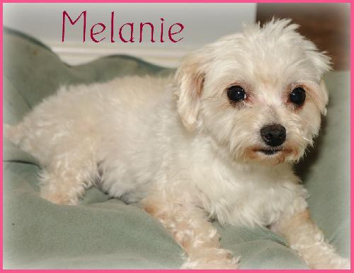 Melanie