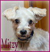 Mitzy