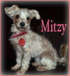 Mitzy