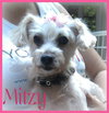 Mitzy