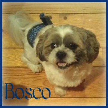 Bosco