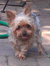Sonny