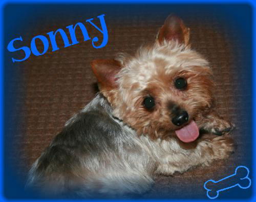 Sonny