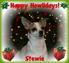 Stewie