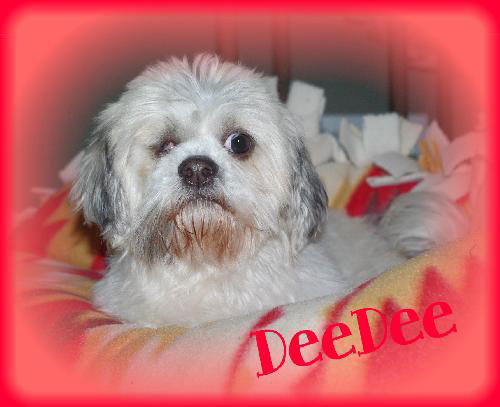 DeeDee