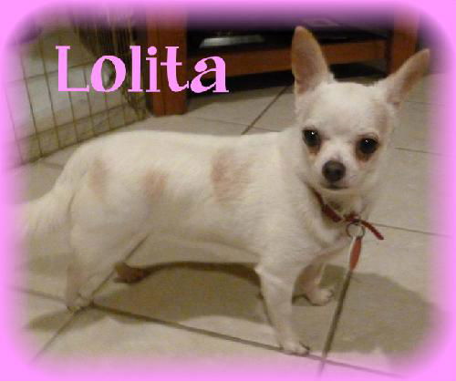 Lolita