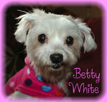 Betty White