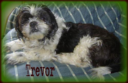 Trevor