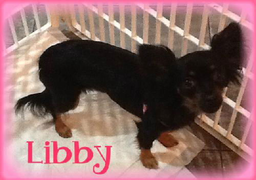 Libby