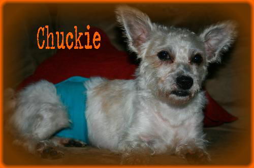 Chuckie