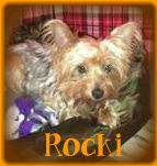 Rocki