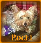 Rocki