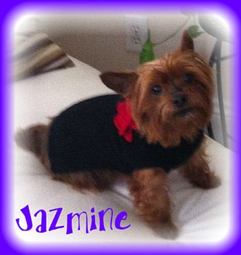 Jazmine