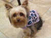 Tuffy