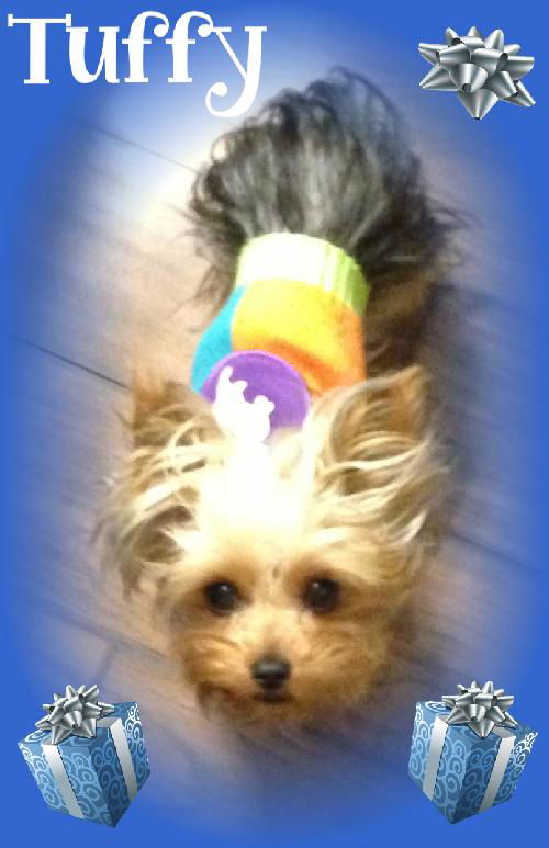 Tuffy
