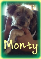 Monty