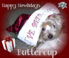 Buttercup
