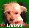 Doozer