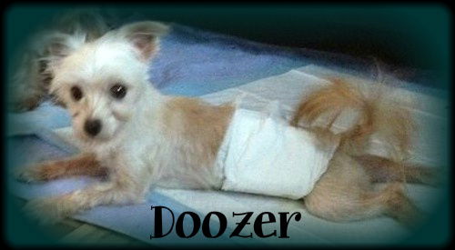 Doozer