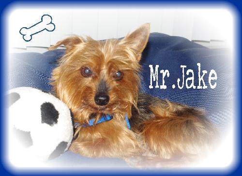 Mr Jake