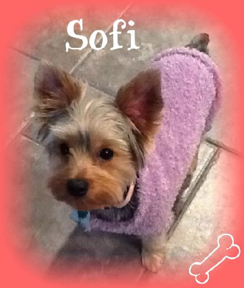 Sofi