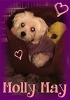 Molly May