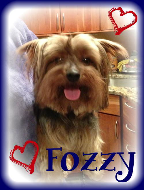 Fozzy