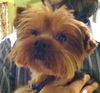 Rusty