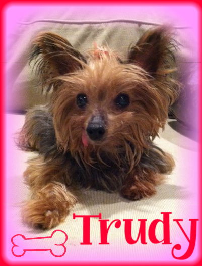Trudy